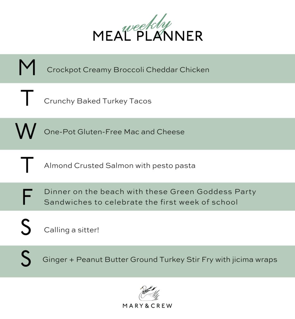 This Week In The Kitchen // 8.19.2024