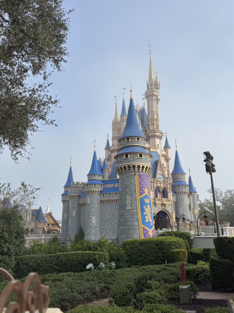 The Elevated Guide to Disney World: Tips & Tricks for a Magical (and Manageable) Trip