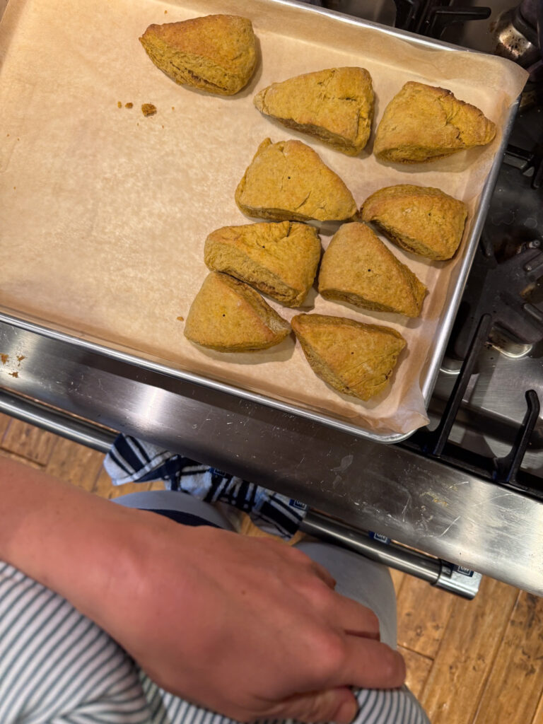 A Fall Favorite : Pumpkin Scones