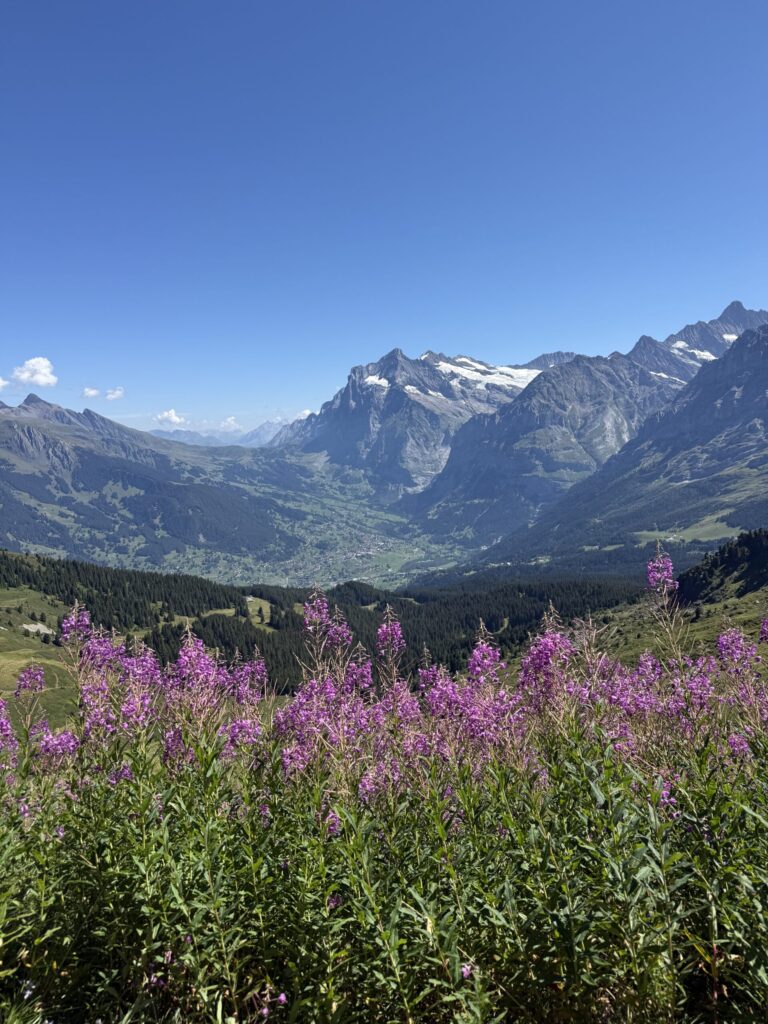 Switzerland and the Bernese Oberland Region with Kids: Everything You Need to Know